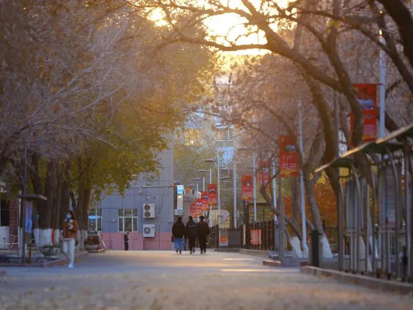 图片14.png